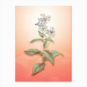 White Gillyflower Bloom Vintage Botanical in Peach Fuzz Seigaiha Wave Pattern n.0323 Canvas Print