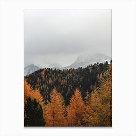 Autumn Trees In The Mountains 2 Canvas Print