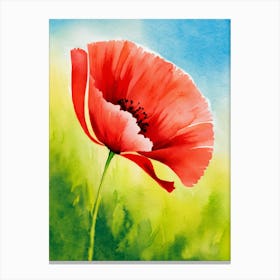 Poppy Watercolor Painting Canvas Print