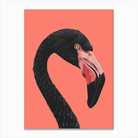 Flamingo Canvas Print