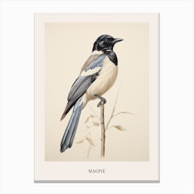Vintage Bird Drawing Magpie 2 Poster Canvas Print