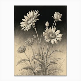 Daisies 2 Canvas Print