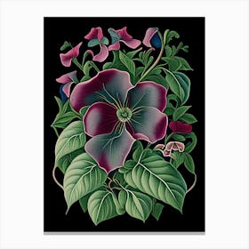 Vinca Floral 1 Botanical Vintage Poster Flower Canvas Print