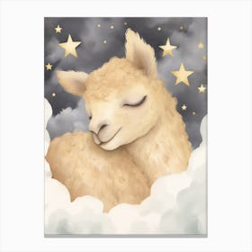 Sleeping Baby Alpaca 5 Canvas Print