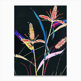 Neon Flowers On Black Fountain Grass 1 Canvas Print