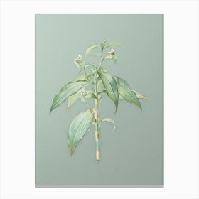 Vintage Commelina Zanonia Botanical Art on Mint Green n.0247 Canvas Print
