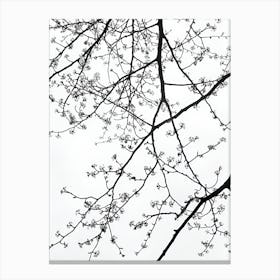 Black And White Tree Branches Canvas Print