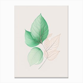 Mint Leaf Contemporary 2 Canvas Print