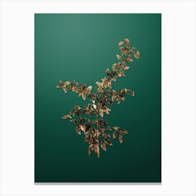 Gold Botanical Rock Buckthorn on Dark Spring Green n.4367 Canvas Print