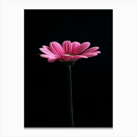 Gerbera Flower 1 Canvas Print