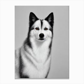 American Eskimo Dog 2 B&W Pencil dog Canvas Print