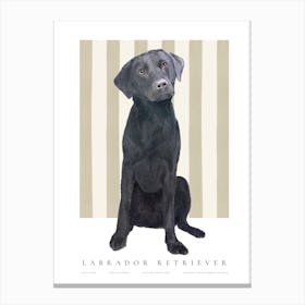 Black Labrador Retriever Canvas Print