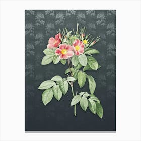 Vintage Pasture Rose Botanical on Slate Gray Pattern n.2078 Canvas Print