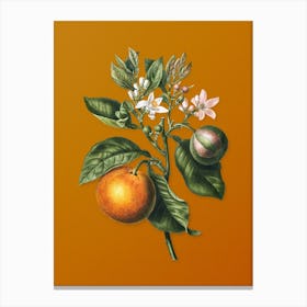 Vintage Bitter Orange Botanical on Sunset Orange n.0055 Canvas Print