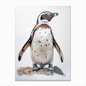 Humboldt Penguin Saunders Island Watercolour Painting 2 Canvas Print