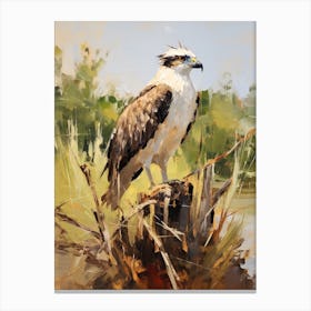 Bird Painting Osprey 3 Canvas Print