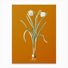 Vintage Narcissus Candidissimus Botanical on Sunset Orange Canvas Print