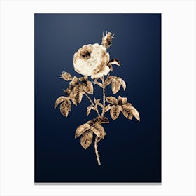 Gold Botanical Provence Rose Bloom on Midnight Navy n.3493 Canvas Print