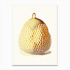 Pollen Beehive 4 Vintage Canvas Print