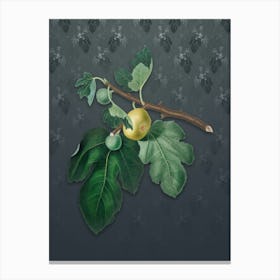 Vintage Fig Botanical on Slate Gray Pattern n.2492 Canvas Print