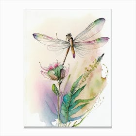 Dragonfly Flying Watercolour Ink Pencil 1 Canvas Print