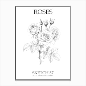 Roses Sketch 57 Poster Canvas Print