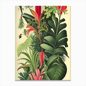 Jungle 5 Botanicals Canvas Print
