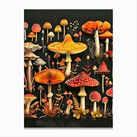 Set Of Mushrooms Canvas Print