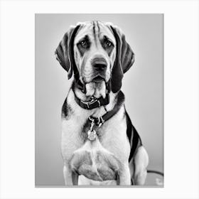 Bloodhound B&W Pencil dog Canvas Print