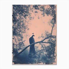 Cyanotype Inspired Peacock In The Tree 1 Canvas Print