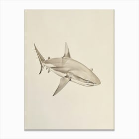 White Tip Reef Shark Vintage Illustration 2 Canvas Print