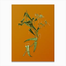 Vintage Rough Bindweed Botanical on Sunset Orange n.0590 Canvas Print