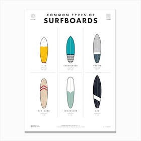 Common Types Of Surfboards Canvas Print