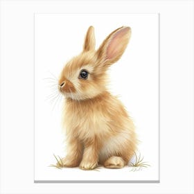 Netherland Dwarf Rabbit Kids Illustration 4 Canvas Print