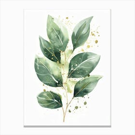 Eucalyptus 19 Canvas Print