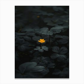 Flower In The Dark 31 Canvas Print