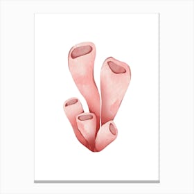 Pink Coral Canvas Print