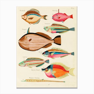 Fishes - Vintage Plate 25 print by Louis Renard
