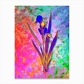 Tall Bearded Iris Botanical in Acid Neon Pink Green and Blue Canvas Print