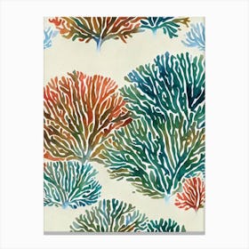 Corals Vintage Graphic Watercolour Canvas Print