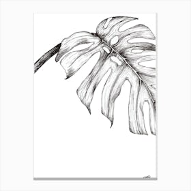 Black and White Monsteria Leaf Right Canvas Print