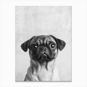 Milo der Mops, niedliches schwarz-weiß Hunde Portrait Canvas Print