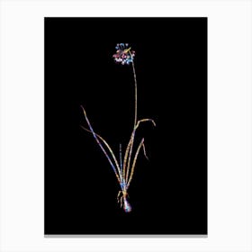 Stained Glass Nodding Onion Mosaic Botanical Illustration on Black n.0157 Canvas Print