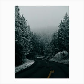 Dark Winter Road Canvas Print