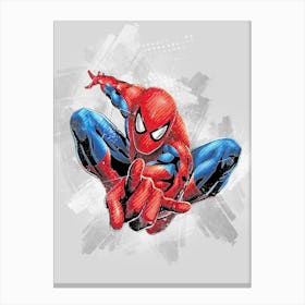 Spider Man Painting Canvas Print