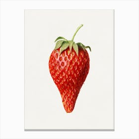 Strawberry - Strawberry Stock Videos & Royalty-Free Footage Canvas Print