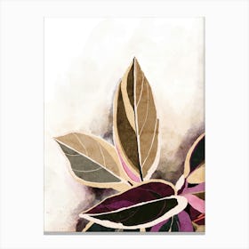 Watercolor Ficus Botanical Leaves 2 Canvas Print