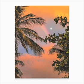 Rainbow Over Palm Trees Canvas Print