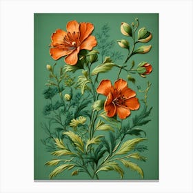 Orange Flowers On A Green Background Canvas Print