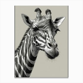 Giraffe 16 Canvas Print